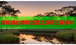 蜜桃猫的奇妙冒险之旅尽在视频中
