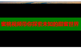 蜜桃视频带你探索未知的甜蜜世界