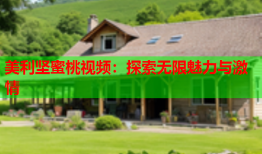 美利坚蜜桃视频：探索无限魅力与激情