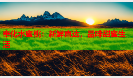 奉化水蜜桃：新鲜直达，品味甜蜜生活