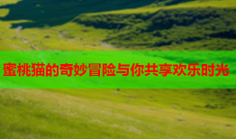 蜜桃猫的奇妙冒险与你共享欢乐时光