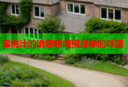 蜜桃汁的诱惑瞬间捕捉你的味蕾
