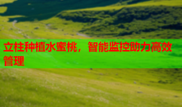 立柱种植水蜜桃，智能监控助力高效管理