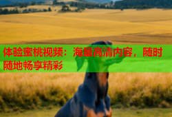 体验蜜桃视频：海量高清内容，随时随地畅享精彩
