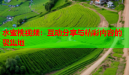 水蜜桃视频：互动分享与精彩内容的聚集地