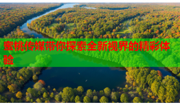 蜜桃传媒带你探索全新视界的精彩体验