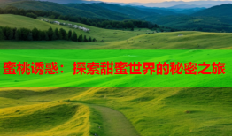 蜜桃诱惑：探索甜蜜世界的秘密之旅