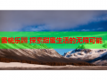 蜜桃乐园 探索甜蜜生活的无限可能