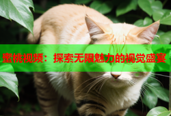 蜜桃视频：探索无限魅力的视觉盛宴