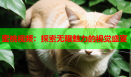 蜜桃视频：探索无限魅力的视觉盛宴