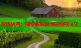 蜜桃诱惑：探索甜蜜视频的秘密世界