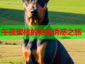 午夜蜜桃的秘密诱惑之旅