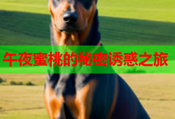 午夜蜜桃的秘密诱惑之旅