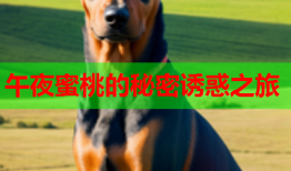 午夜蜜桃的秘密诱惑之旅