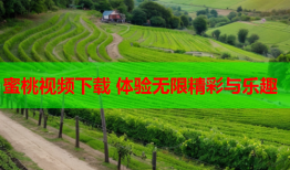 蜜桃视频下载 体验无限精彩与乐趣