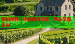 蜜桃视频：畅享视听盛宴，尽在掌握之中