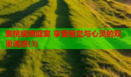 蜜桃视频盛宴 享受视觉与心灵的双重诱惑(3)