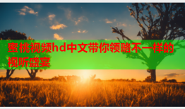 蜜桃视频hd中文带你领略不一样的视听盛宴