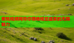 蜜桃视频网带你领略视觉盛宴的无限魅力