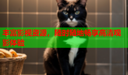 丰富影视资源，随时随地畅享高清观影体验
