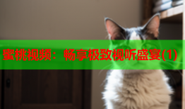 蜜桃视频：畅享极致视听盛宴(1)