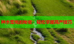 种水蜜桃的秘密：轻松掌握高产技巧