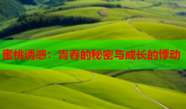 蜜桃诱惑：青春的秘密与成长的悸动