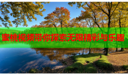 蜜桃视频带你探索无限精彩与乐趣