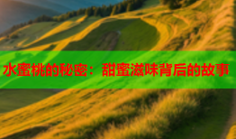 水蜜桃的秘密：甜蜜滋味背后的故事