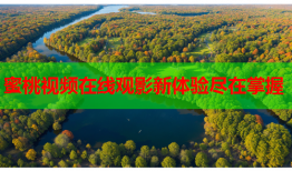 蜜桃视频在线观影新体验尽在掌握
