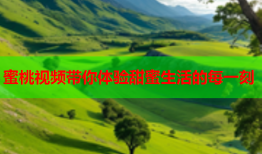 蜜桃视频带你体验甜蜜生活的每一刻