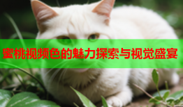 蜜桃视频色的魅力探索与视觉盛宴