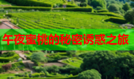 午夜蜜桃的秘密诱惑之旅