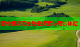 蜜桃视频污的秘密探索与奇妙体验