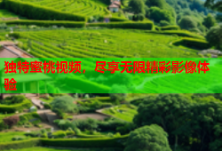 独特蜜桃视频，尽享无限精彩影像体验