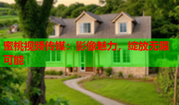 蜜桃视频传媒：影像魅力，绽放无限可能