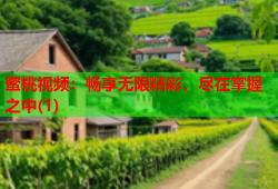 蜜桃视频：畅享无限精彩，尽在掌握之中(1)