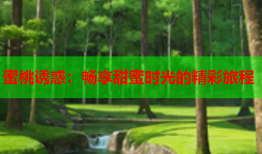 蜜桃诱惑：畅享甜蜜时光的精彩旅程