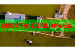 蜜桃视频下载 享受无限精彩与乐趣