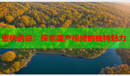 蜜桃诱惑：探索国产视频的独特魅力