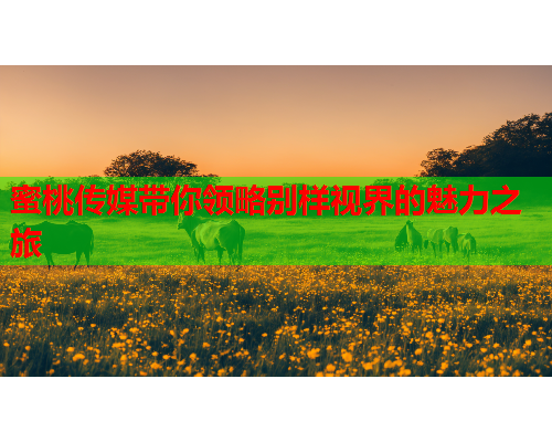 蜜桃传媒带你领略别样视界的魅力之旅