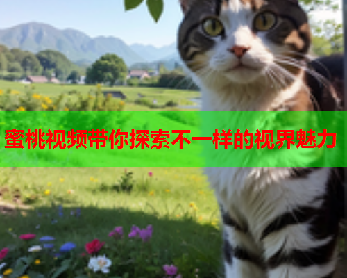 蜜桃视频带你探索不一样的视界魅力