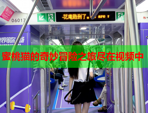 蜜桃猫的奇妙冒险之旅尽在视频中