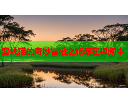蜜桃猫的奇妙冒险之旅尽在视频中