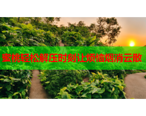 蜜桃轻松解压时刻让烦恼烟消云散