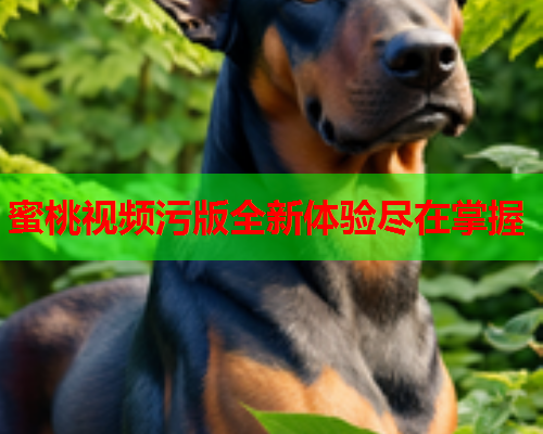 蜜桃视频污版全新体验尽在掌握