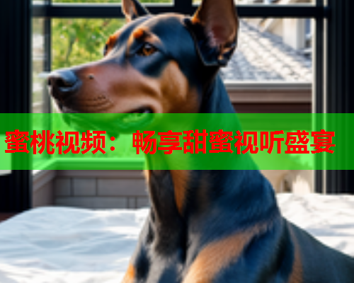 蜜桃视频：畅享甜蜜视听盛宴
