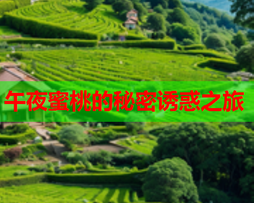 午夜蜜桃的秘密诱惑之旅