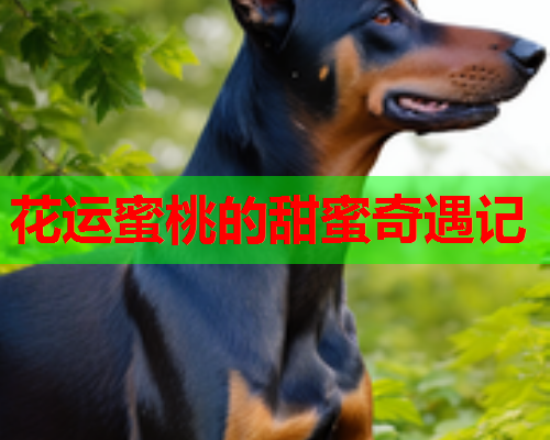 花运蜜桃的甜蜜奇遇记