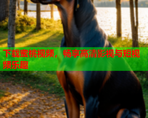 下载蜜桃视频，畅享高清影视与短视频乐趣